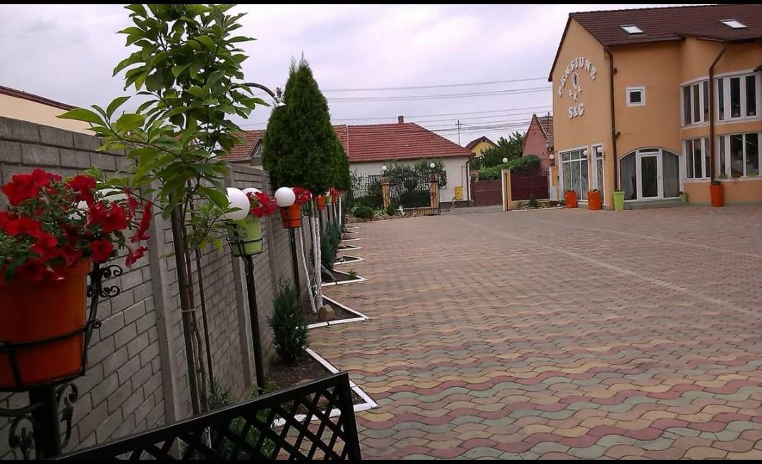 Pensiunea Sergiu & Geanina Arad Dış mekan fotoğraf